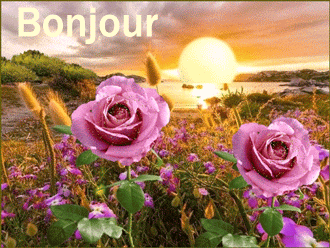 Gifs animés bonjour levé de soleil