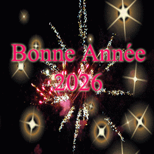 Gif animé bonne année 2025