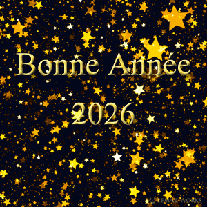 Gif animé bonne année 2025 