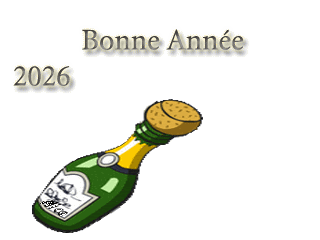 Gif animé bonne année 2025 