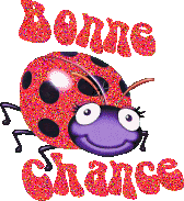 Gif animé bonne chance coccinelle