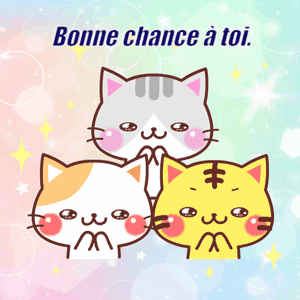 Gif animé bonne chance a toi chats