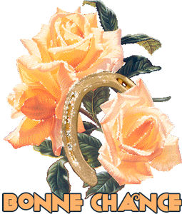 Gif animé bonne chance roses et fer a cheval