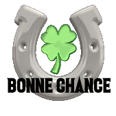 Gif animé bonne chance trèfle et fer à cheval