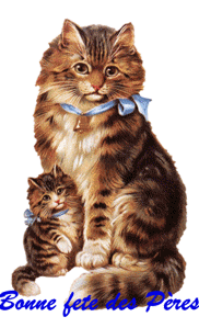 Gif animé bonne fête des pères chat