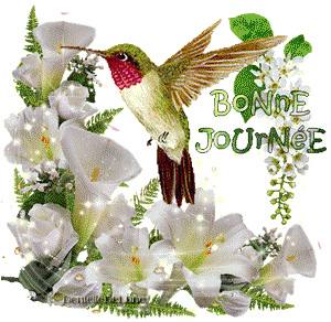 Gif bonne journée oiseau