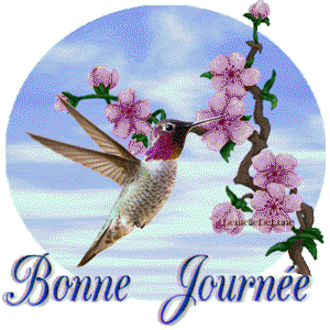 Gif bonne journée oiseau