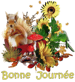 Gif bonne journée ecureuil