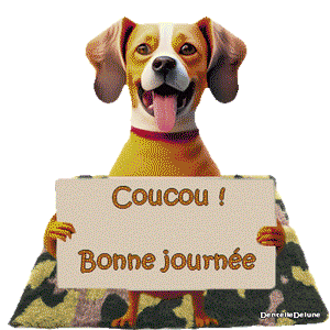 Gif coucou bonne journée chien