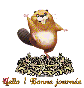Gif bonne journée castor