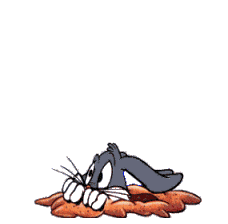 Gif bonne journée Bunny