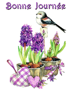 Gif animé bonne journée oiseau