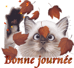 Gif animé bonne journée petit chat