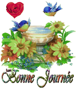 Gif animé bonne journée oiseaux fontaine