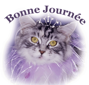 Gif animé bonne journée chat