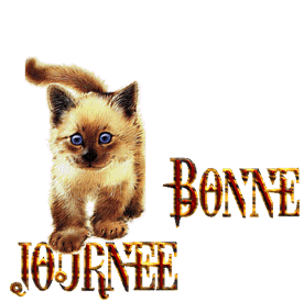 Gif animé bonne journée chaton