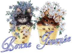 Gif animé bonne journée chats en pot
