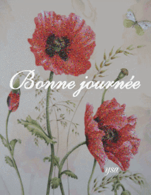 Gif animé bonne journée coquelicots