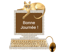 Gif animé bonne journée chat sur ordinateur