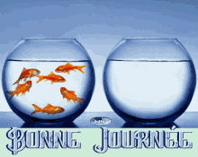 Gif animé bonne journée poissons rouges