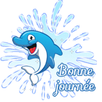 Gif animé bonne journée dauphin