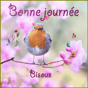 Gif animé bonne journée oiseau