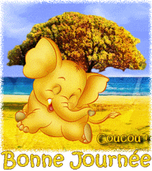 Gif animé bonne journée coucou