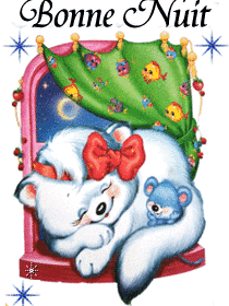 bonne nuit chat