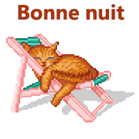 bonne nuit chat sur chaise