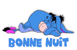 bonne nuit ane
