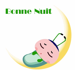 bonne nuit insecte