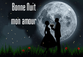 bonne nuit mon amour lune