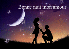 bonne nuit mon amour etoiles