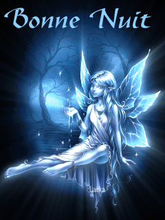 bonne nuit fée