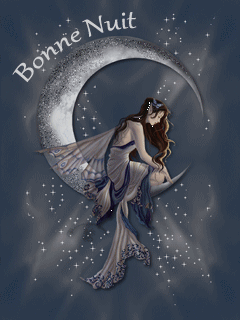 bonne nuit fée