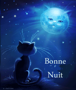 bonne nuit chat