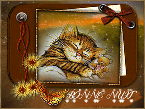 bonne nuit chaton