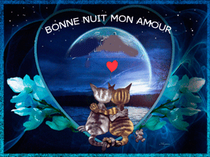 bonne nuit mon amour chats