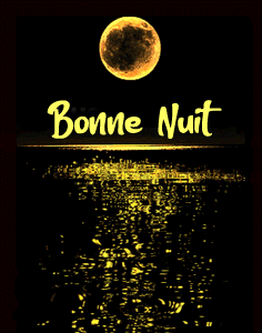 bonne nuit lune sur la mer