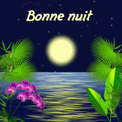 bonne nuit lune
