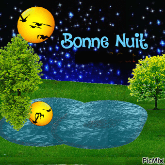 bonne nuit reflet de lunne