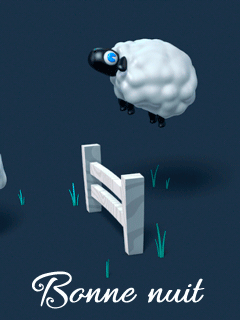 bonne nuit compter les moutons