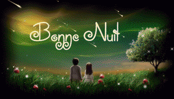 bonne nuit étoiles filantes amour