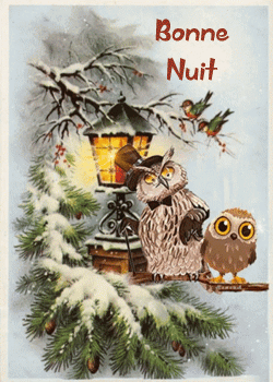 bonne nuit hiboux