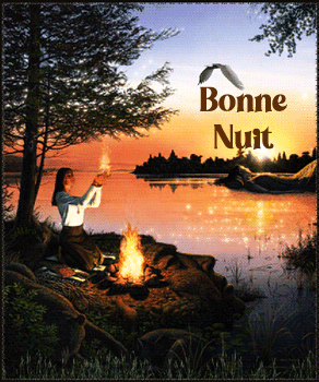 bonne nuit lac feu