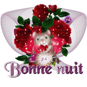 bonne nuit souris