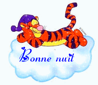 bonne nuit tigre