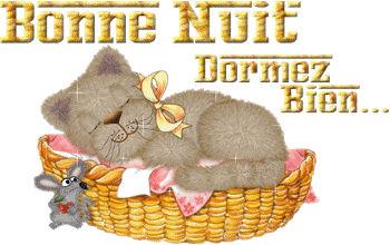 bonne nuit chat dans panier