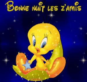 bonne nuit les zamis Titi