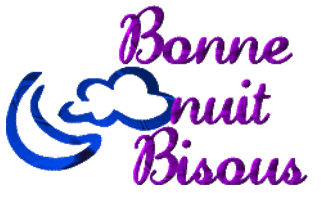 bonne nuit bisous